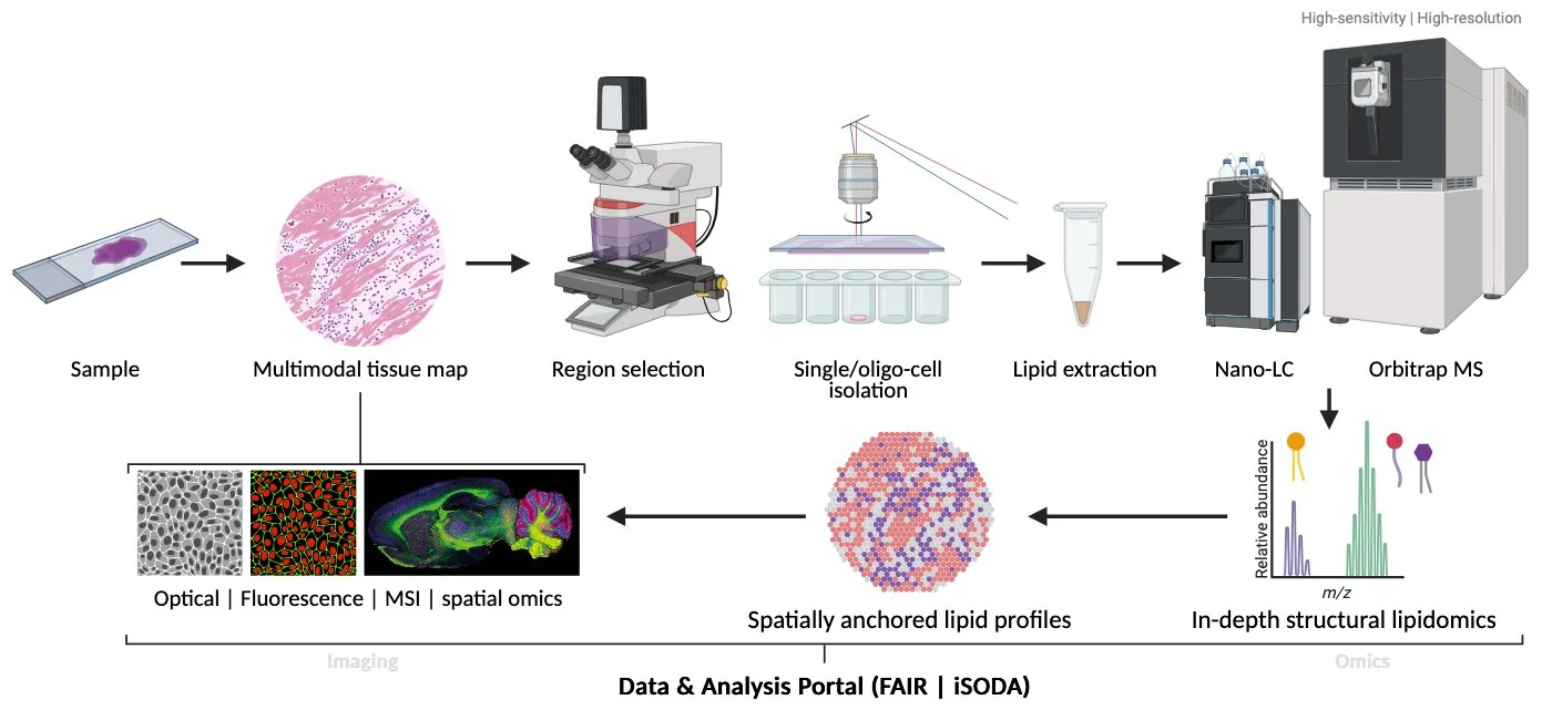 NExTLi spatially informed lipidomics workflow: from tissue sample through multimodal imaging and region selection to single-cell isolation, lipid extraction, nano-LC, and high-resolution Orbitrap MS, integrated through the FAIR Data and Analysis Portal